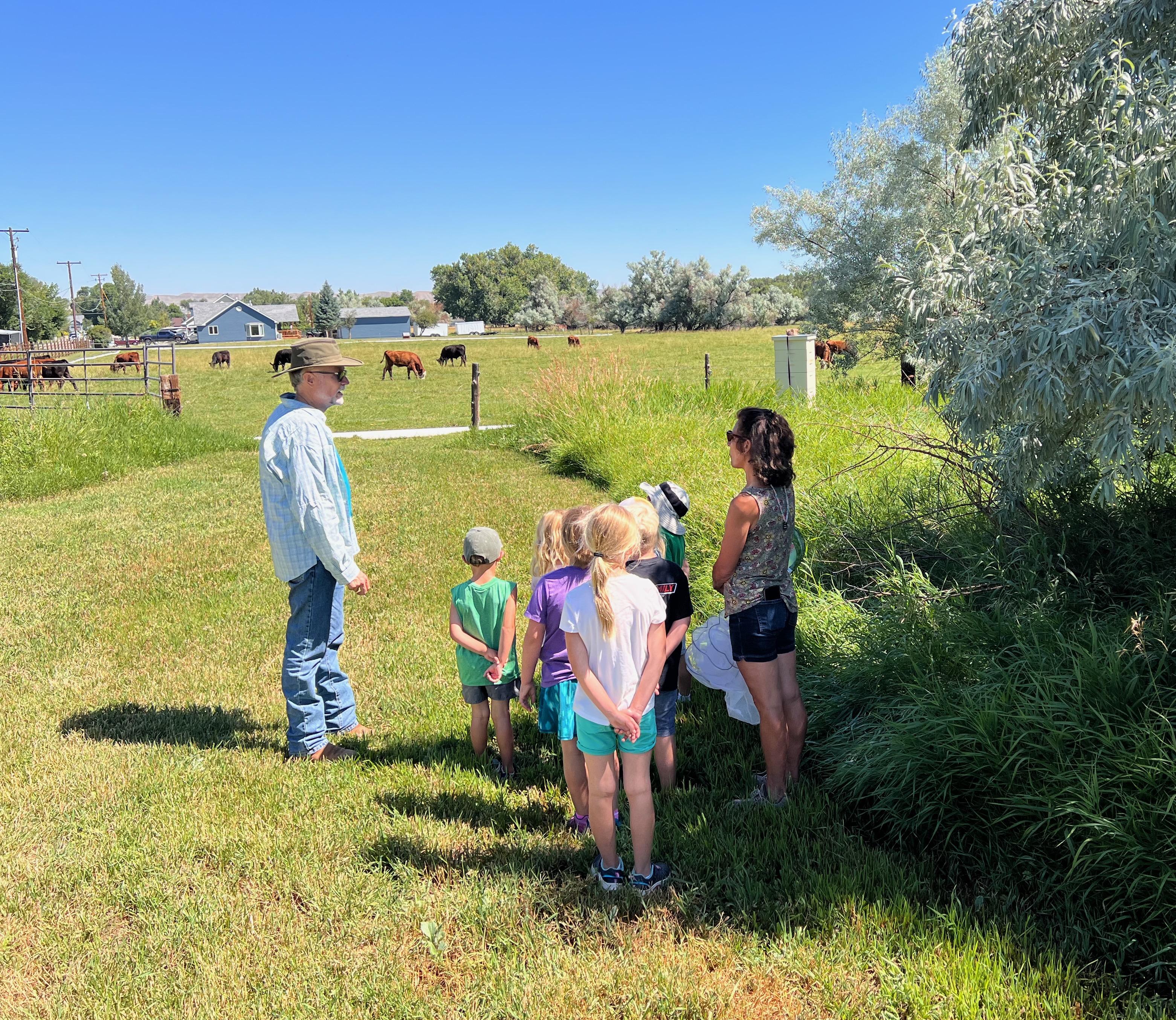 Academy of the Winds